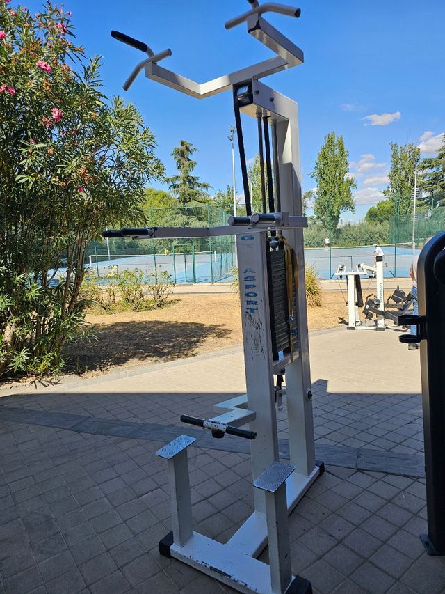 Dominadas Asistida Gervasport