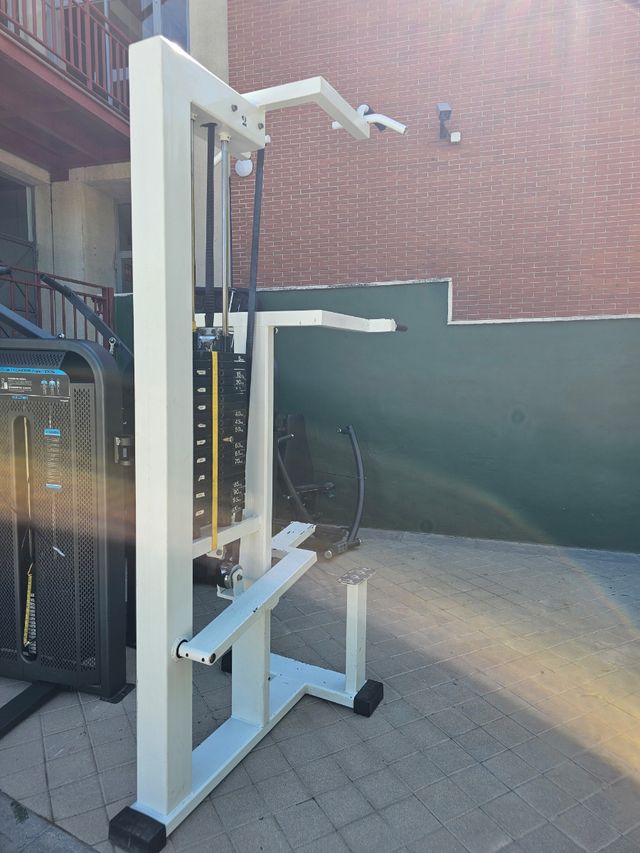 Dominadas Asistida Gervasport