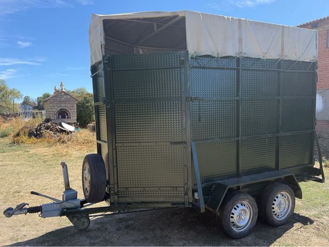 Remolque para caballos 1 matrícula