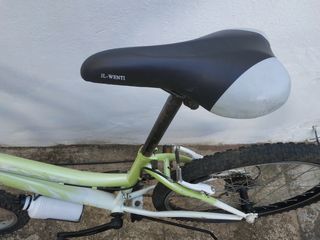 Bicicleta juvenil JL Wenti Verde