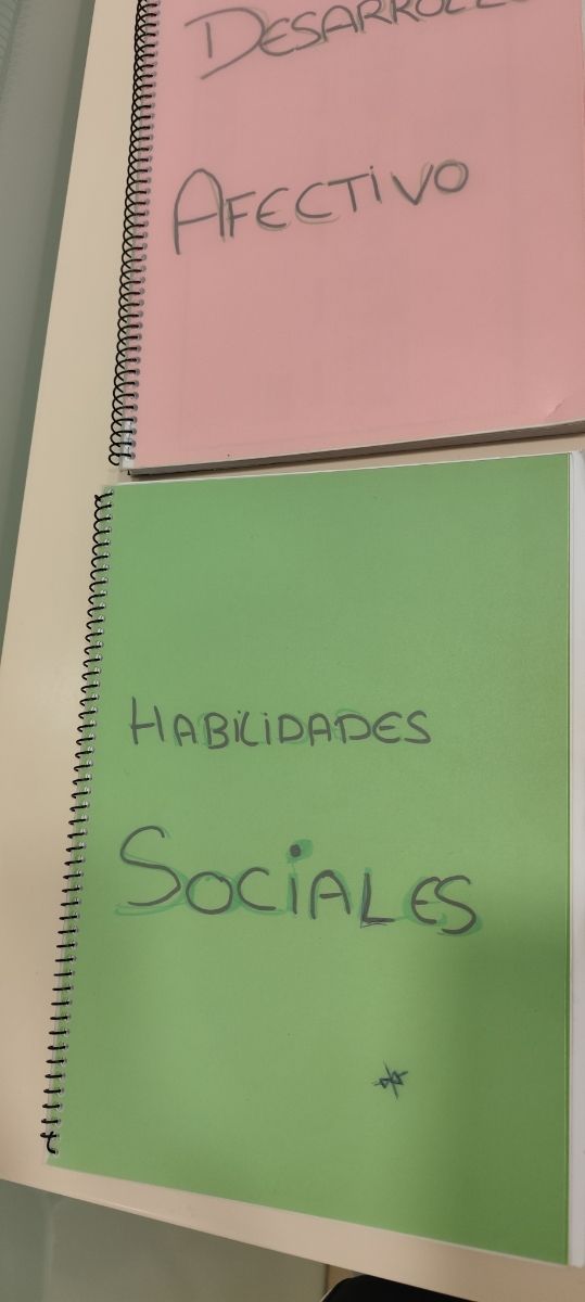 Temario FP Superior Técnico Educación infantil