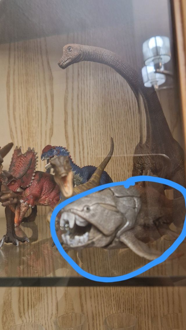 Pez antiguo de colección