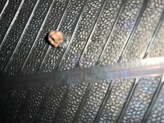 Neumáticos Hankook Ventus S1 Evo 2 245/40 R19 98Y