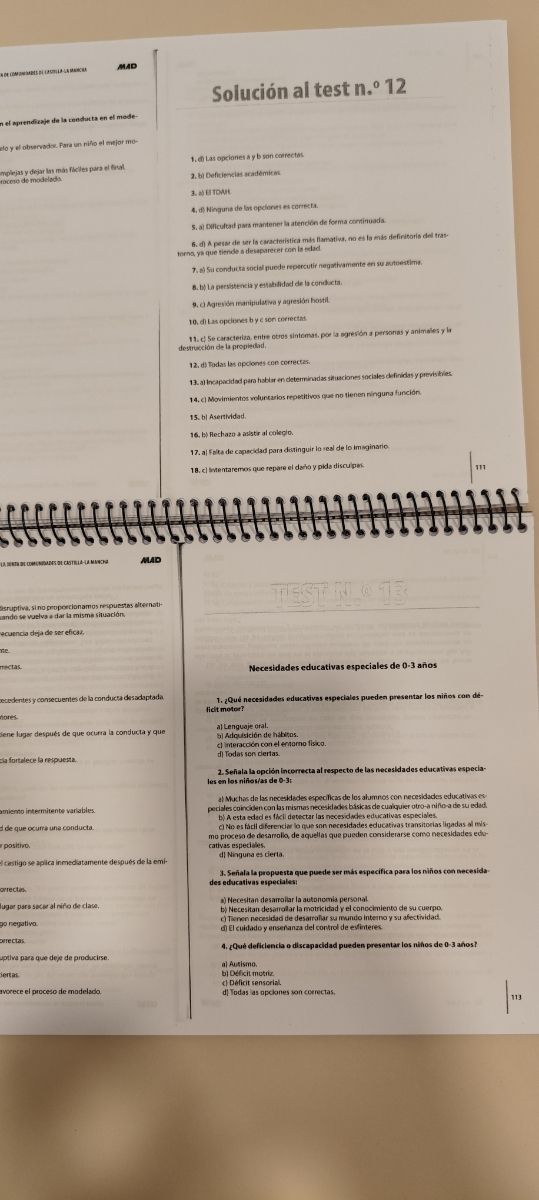 TEST MAD TÉCNICO JARDIN INFANCIA CASTILLA+TEST JCM