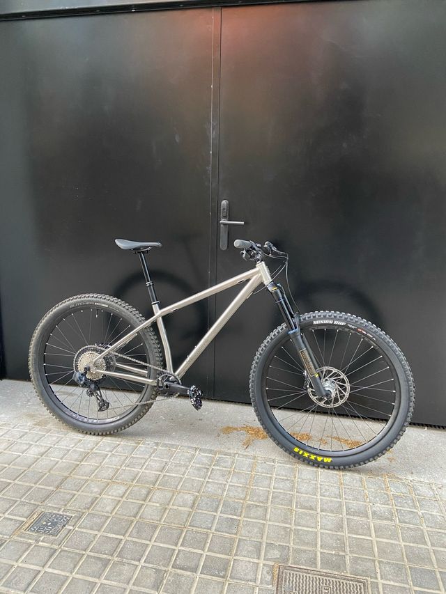 Bici Titanio Stanton Switch9er Ti