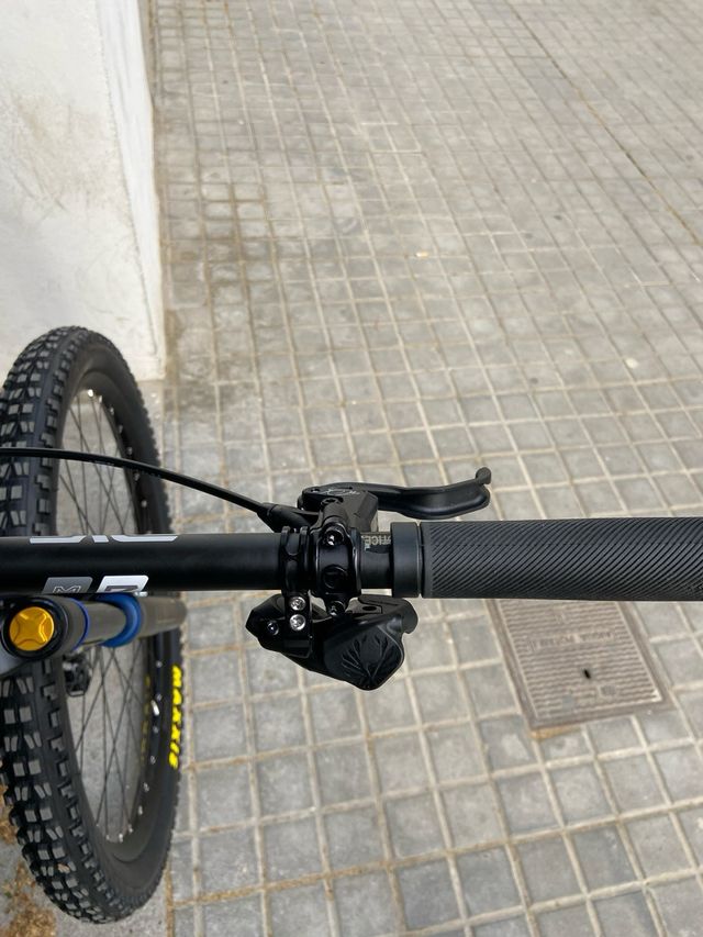 Bici Titanio Stanton Switch9er Ti