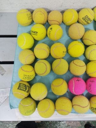 Pelotas de tenis HEAD y Dunlop