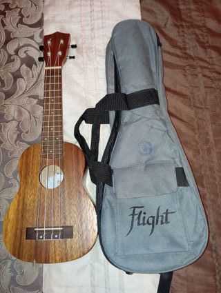 Ukulele Flight