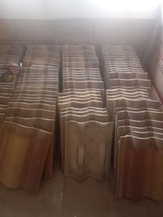 160 Tejas Albero Seminuevas