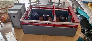 Corral de toros con barreras y toros