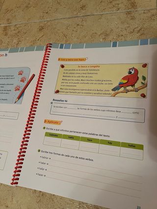 Cuadernos Ortografía 4 primaria