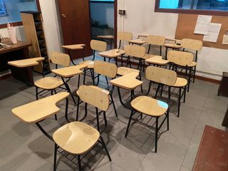 Lote 10 Sillas Madera con Pala.