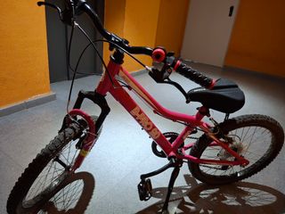 Bicicleta B-Pro 20 Rosa