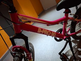Bicicleta B-Pro 20 Rosa