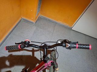 Bicicleta B-Pro 20 Rosa