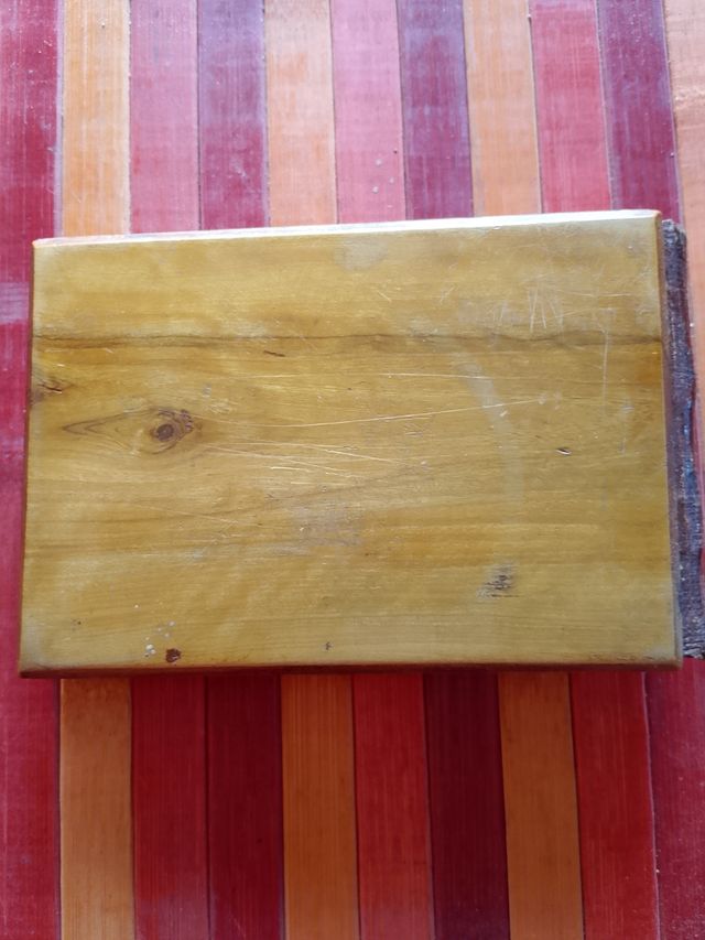 Libro botanica Gerusalemme primi '900