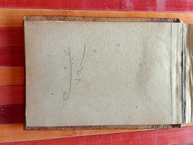 Libro botanica Gerusalemme primi '900