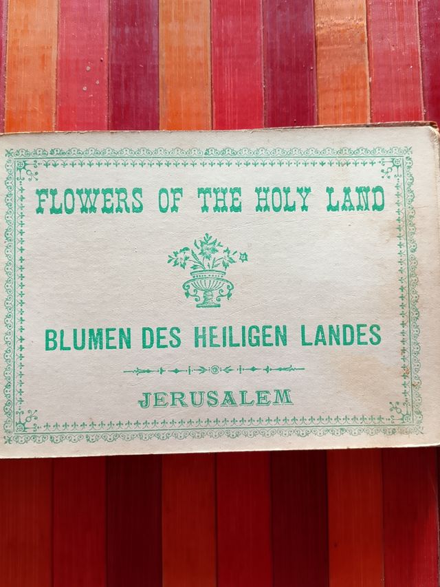 Libro botanica Gerusalemme primi '900