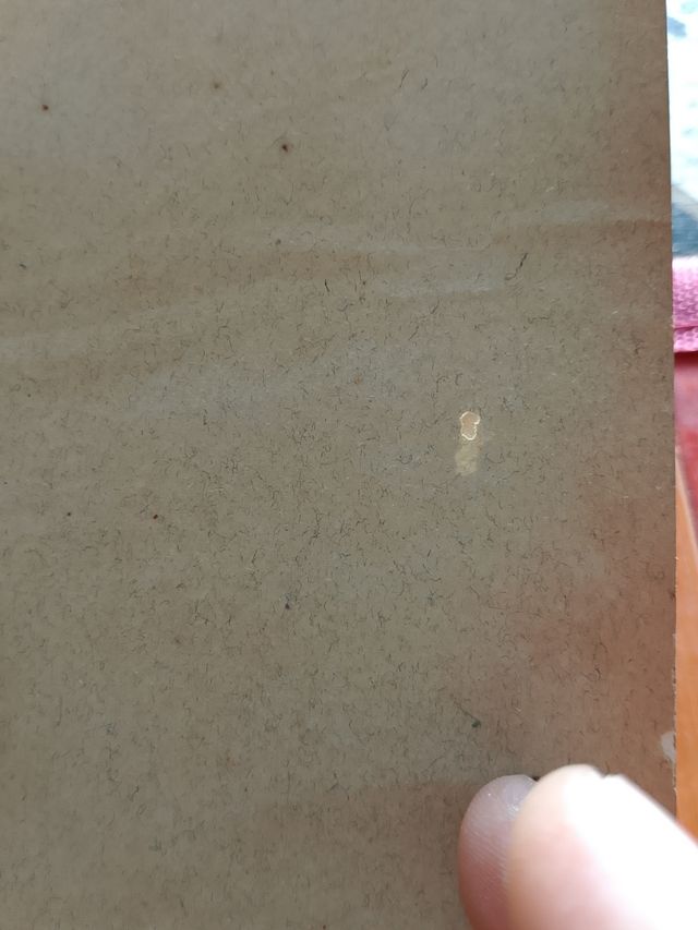 Libro botanica Gerusalemme primi '900