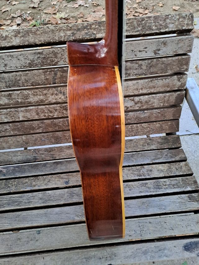 Guitarra Española Flamenca