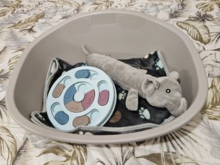 Lote Productos para Perro/Gato.