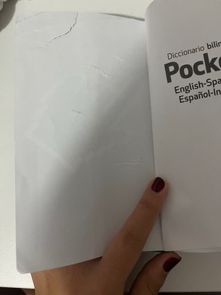 diccionario bilingüe