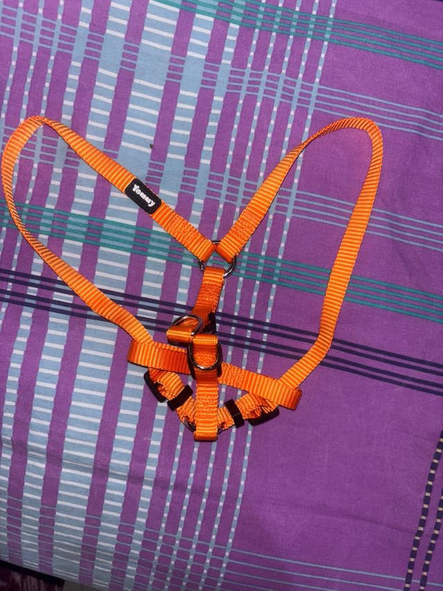 Arnés para perro o gato pequeño