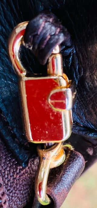 Bolso de piel italiano Trezeta