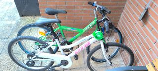 2 Bicicletas Infantiles Niña/Niño Buen Estado