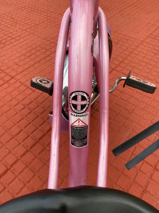 Bicicleta Schwinn Roadster Rosa