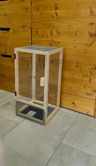 Teca terrario gabbia insetti stecco rettili 50cm