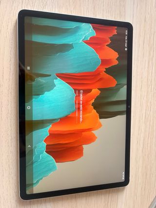 Samsung Galaxy Tab S7 Plata