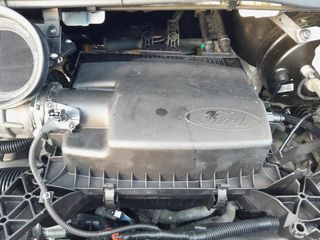 Motor Ford Transit TTS 2019 .YLF6