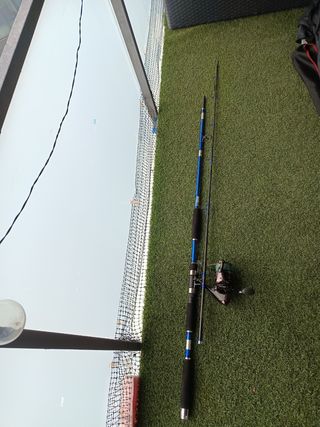 Caña de pescar para siluro