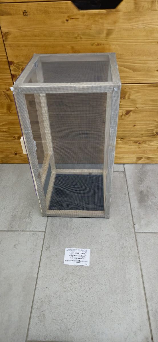 Teca terrario insetti 50cm RETE