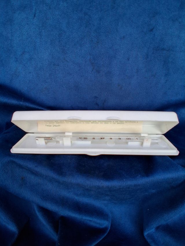 Termometro Antico in Vetro