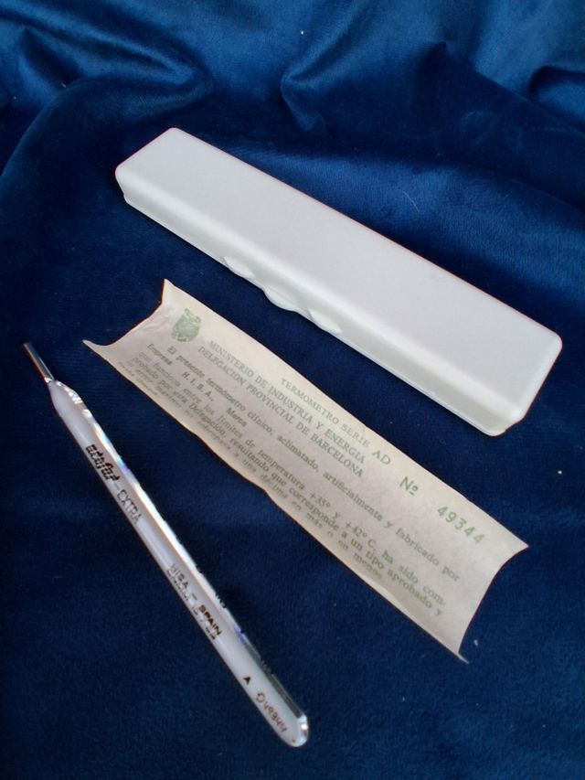 Termometro Antico in Vetro