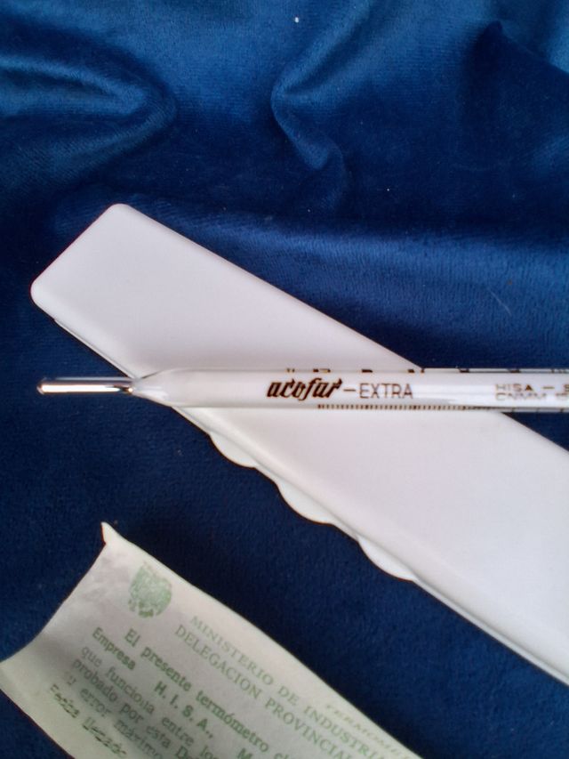 Termometro Antico in Vetro