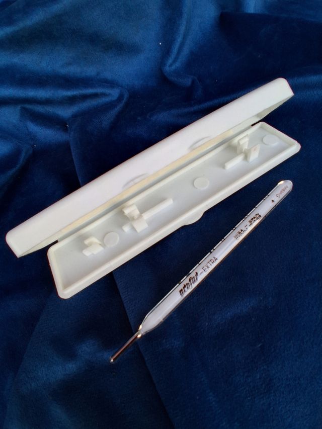 Termometro Antico in Vetro