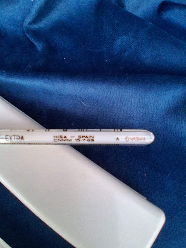 Termometro Antico in Vetro