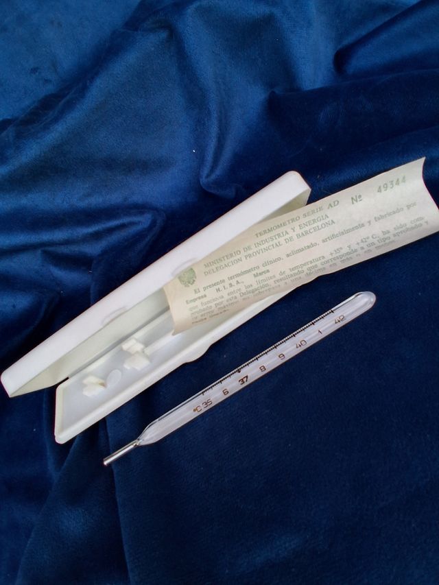 Termometro Antico in Vetro