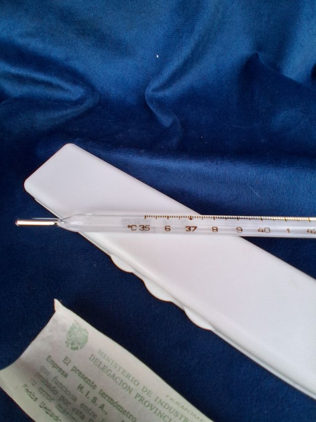 Termometro Antico in Vetro