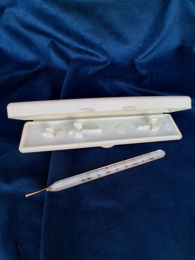 Termometro Antico in Vetro