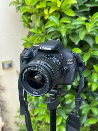 !!OFERTA!! Canon EOS 600D Cámara DSLR + 18-55mm