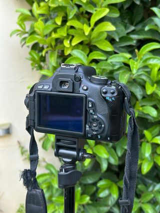 !!OFERTA!! Canon EOS 600D Cámara DSLR + 18-55mm