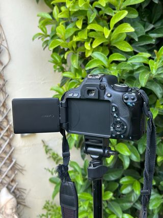 !!OFERTA!! Canon EOS 600D Cámara DSLR + 18-55mm