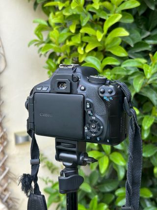 !!OFERTA!! Canon EOS 600D Cámara DSLR + 18-55mm