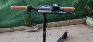 Patinete Eléctrico Smartgyro Baggio 10 Negro