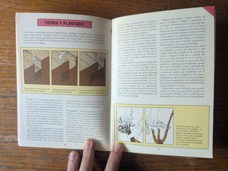 Guías Jardín Blume: Rosales