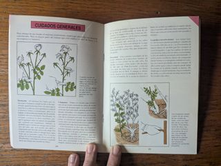 Guías Jardín Blume: Rosales